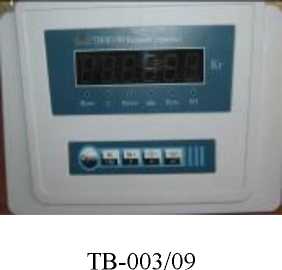 Внешний вид. Весы платформенные электронные (ВЕР-TORG), http://oei-analitika.ru 