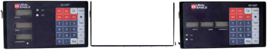 Внешний вид. Весы платформенные электронные (ВЕР-TORG), http://oei-analitika.ru