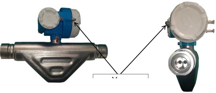 Внешний вид. Расходомеры кориолисовые массовые, http://oei-analitika.ru рисунок № 1