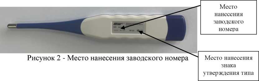 Внешний вид. Термометры медицинские электронные 