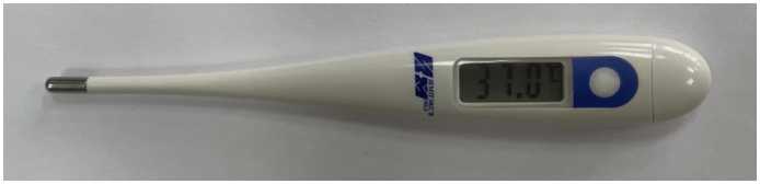 Внешний вид. Термометры медицинские электронные 