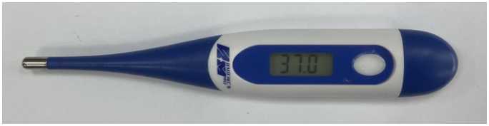 Внешний вид. Термометры медицинские электронные 