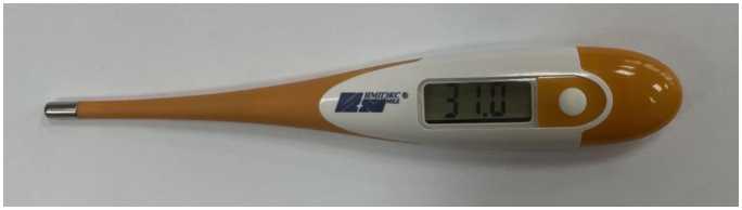 Внешний вид. Термометры медицинские электронные 