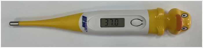 Внешний вид. Термометры медицинские электронные 