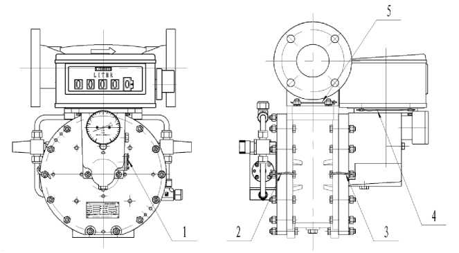 Внешний вид. Счетчики жидкости камерные лопастные, http://oei-analitika.ru рисунок № 3