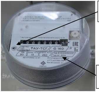 Внешний вид. Счетчики газа турбинные, http://oei-analitika.ru рисунок № 5