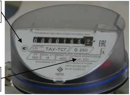 Внешний вид. Счетчики газа турбинные, http://oei-analitika.ru рисунок № 6