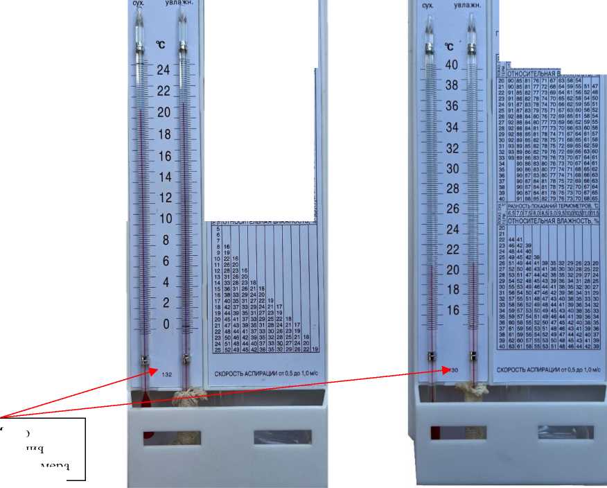 Внешний вид. Гигрометры психрометрические, http://oei-analitika.ru рисунок № 1