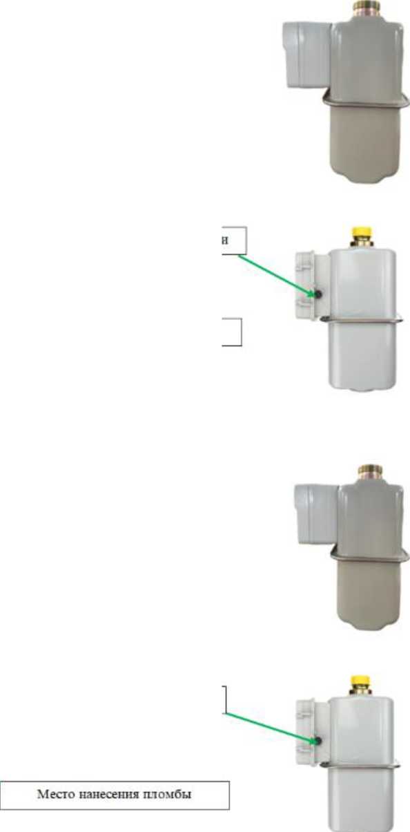 Внешний вид. Счетчики газа интеллектуальные, http://oei-analitika.ru рисунок № 4