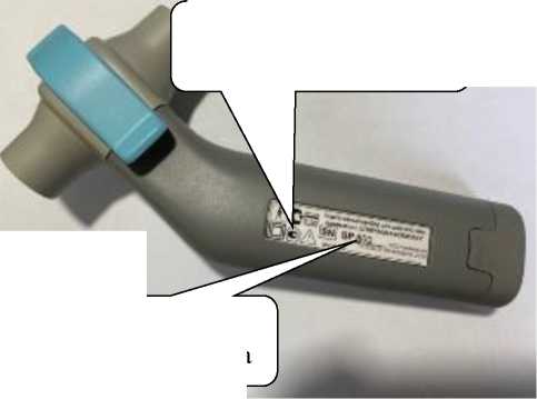 Внешний вид. Приборы для диагностики дыхания портативные, http://oei-analitika.ru рисунок № 2