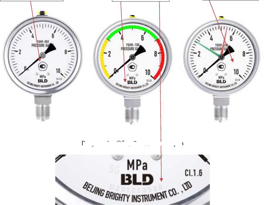 Внешний вид. Манометры показывающие, http://oei-analitika.ru рисунок № 1