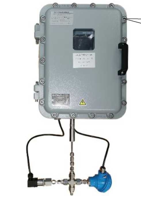 Внешний вид. Анализаторы кислорода оптические, http://oei-analitika.ru рисунок № 1