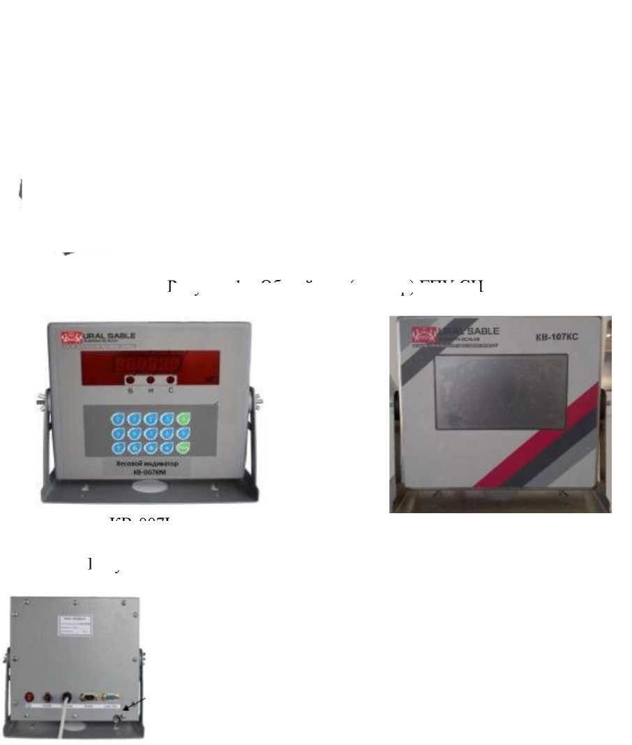 Внешний вид. Весы автомобильные электронные , http://oei-analitika.ru рисунок № 2