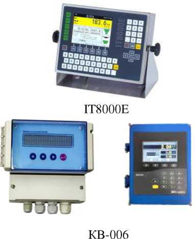 Внешний вид. Весы непрерывного действия конвейерные, http://oei-analitika.ru рисунок № 4