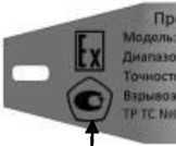 Внешний вид. Преобразователи давления, http://oei-analitika.ru рисунок № 3