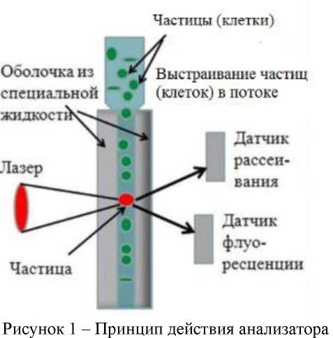 Внешний вид. Анализатор размеров частиц (проточный цитометр), http://oei-analitika.ru рисунок № 1