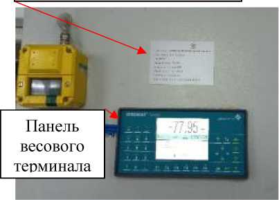 Внешний вид. Весы вагонные, http://oei-analitika.ru рисунок № 6
