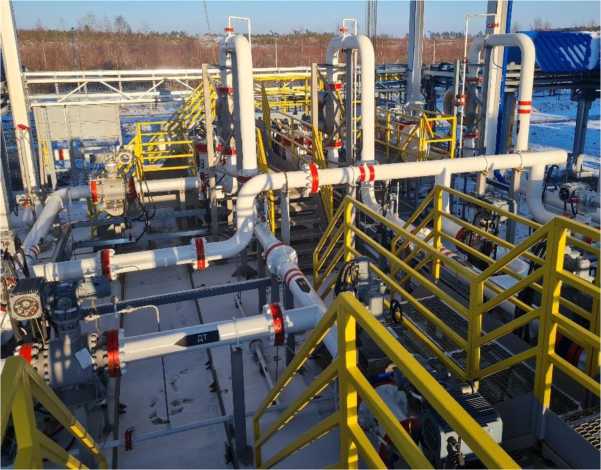 Внешний вид. Система измерений количества и показателей качества нефтепродуктов № 1225, http://oei-analitika.ru рисунок № 1