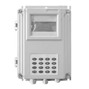 Внешний вид. Расходомеры кориолисовые, http://oei-analitika.ru рисунок № 3