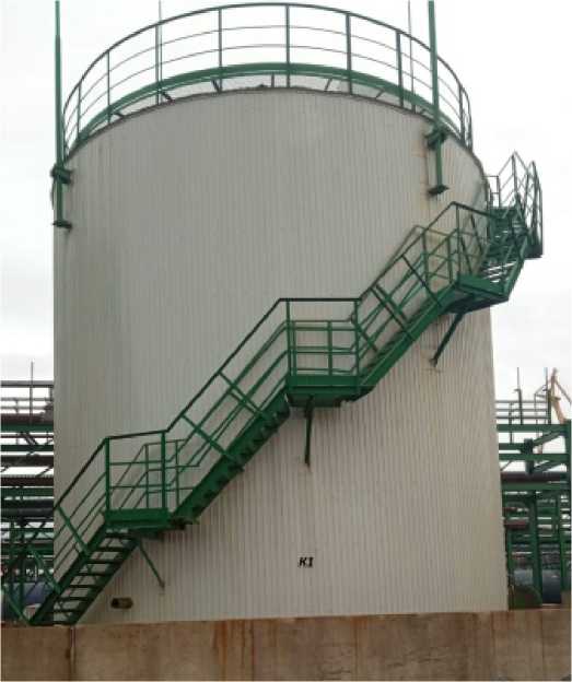 Внешний вид. Резервуары стальные вертикальные цилиндрические теплоизолированные, http://oei-analitika.ru рисунок № 1