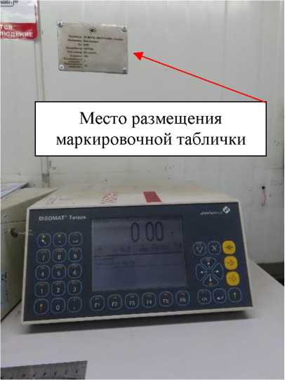 Внешний вид. Весы вагонные, http://oei-analitika.ru рисунок № 2