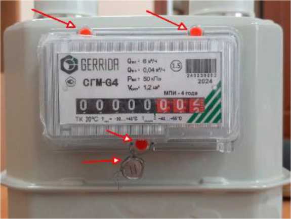 Внешний вид. Счетчики газа мембранные, http://oei-analitika.ru рисунок № 3